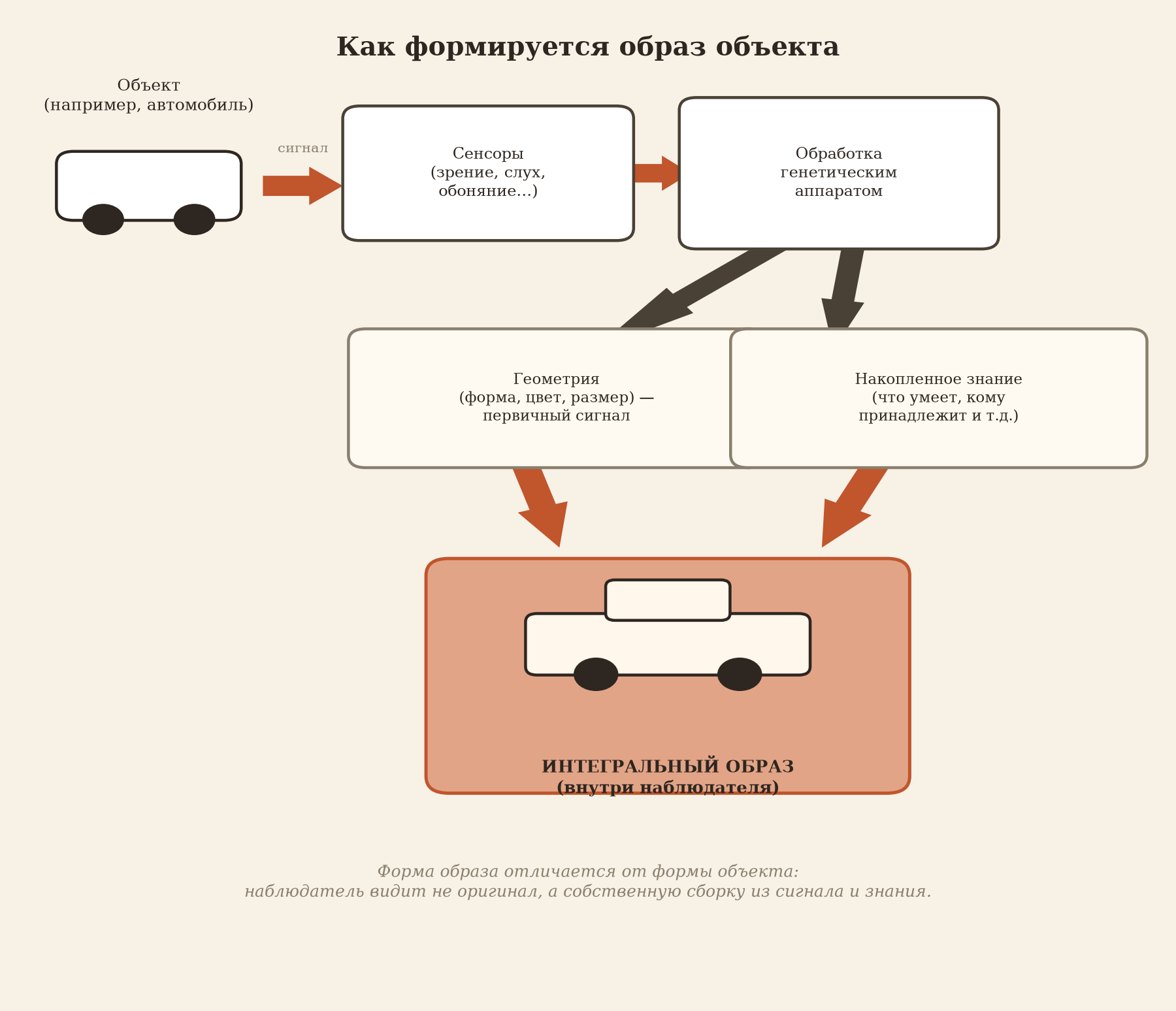 Как формируется образ объекта: сенсоры и обработка генетическим аппаратом дают два потока — геометрию и накопленное знание, которые сходятся в интегральный образ — машину другой формы, чем реальный объект